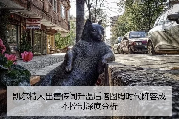kai-er-te-ren-chu-shou-chuan-wen-sheng-wen-hou-ta-tu-mu-shi-dai-zhen-rong-cheng-ben-kong-zhi-shen-du-fen-xi-2-178.jpg